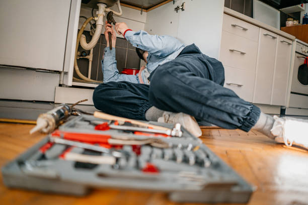 Best Affordable Plumbing Services  in Newhall, IA