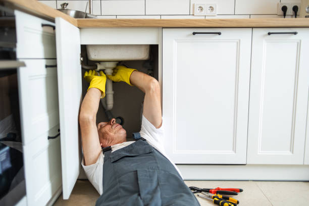 Best Affordable Plumber Near Me  in Newhall, IA