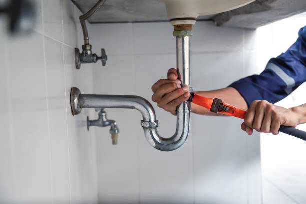 Best Plumbing Inspection Services  in Newhall, IA