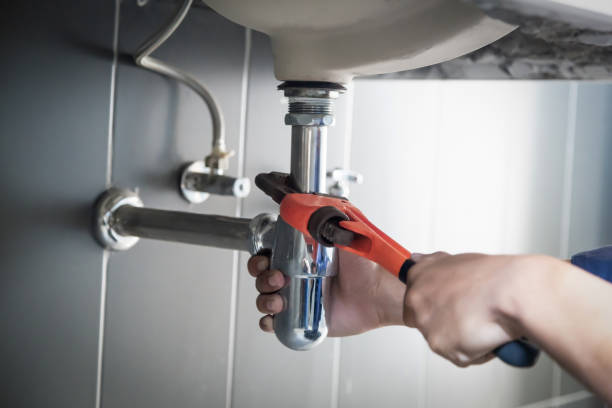 Best Local Plumber Services  in Newhall, IA